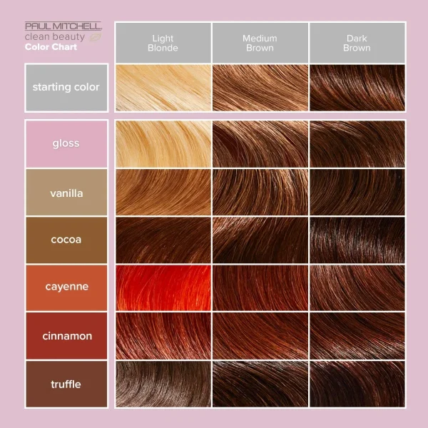 Clean Beauty Color Depositing Treatment - Image 7