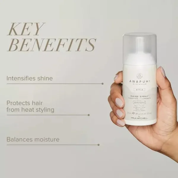 Shine Spray - Image 2