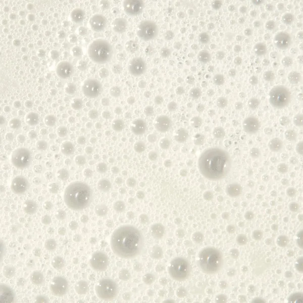 Scalp Care Regeniplex Shampoo - Image 2